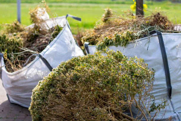 Demolition Debris Removal in Hansville, WA